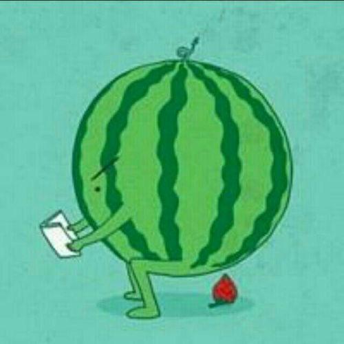 瓜在体育圈是什么意思,揭秘体育界的神秘“瓜”文化