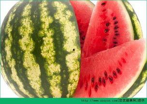 吃瓜炸裂 热门大瓜每日必吃大瓜,紧跟热点，尽享吃瓜炸裂盛宴