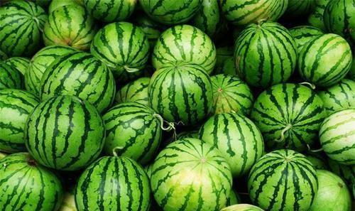 今日吃瓜全集完整版